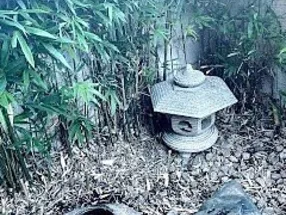 Japan Unique Cultural Experiences 1